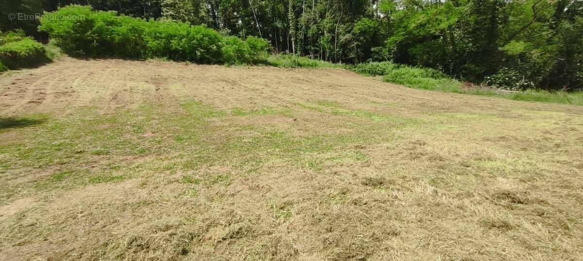 Terrain à MAUZAC-ET-GRAND-CASTANG