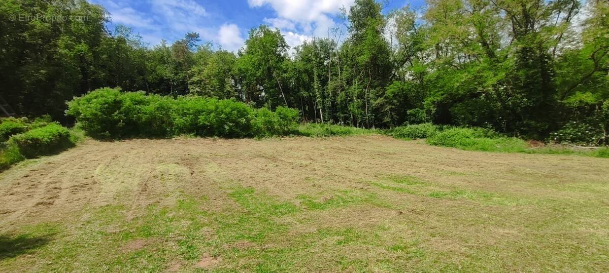 Terrain à MAUZAC-ET-GRAND-CASTANG