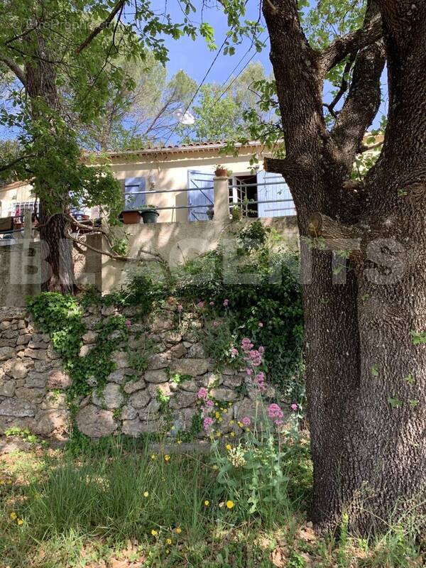 image00002 - Maison à TOURVES