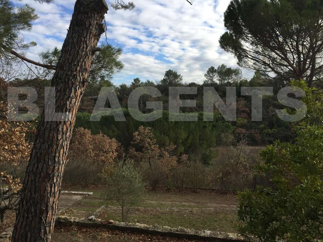 image00024 - Maison à TOURVES