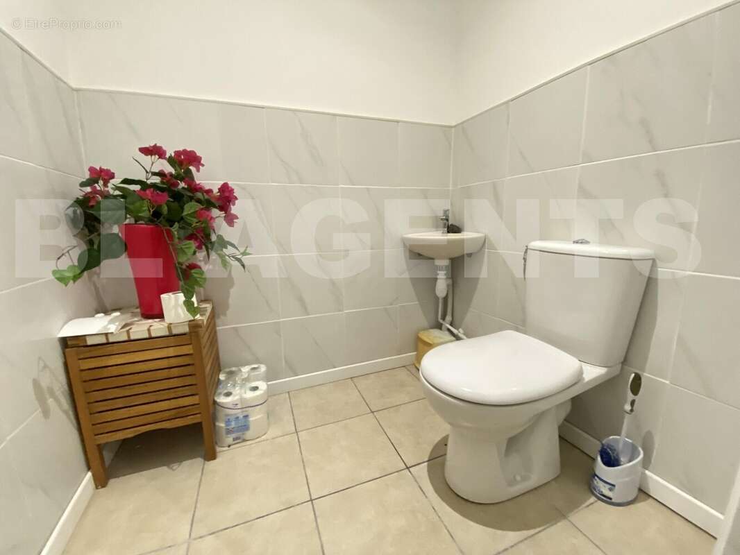 IMG_5437 - Maison à SAINT-MARTIN-LACAUSSADE