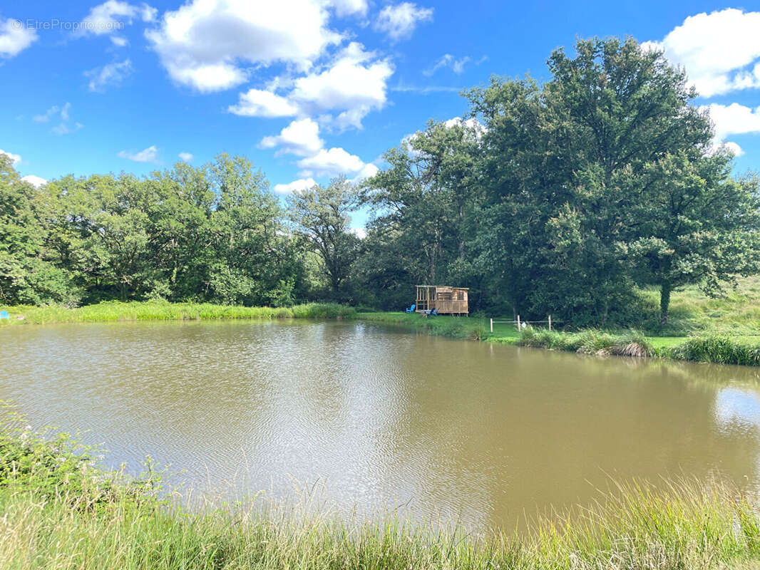 Maison à ARGENTON-SUR-CREUSE