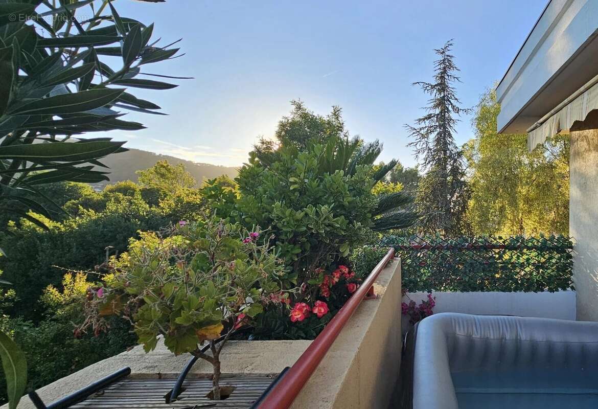 Appartement à SOLLIES-PONT