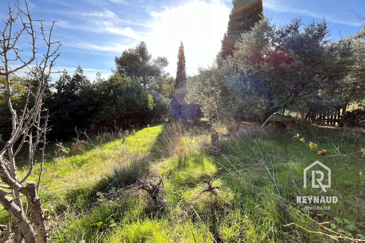 Terrain à CLERMONT-L&#039;HERAULT