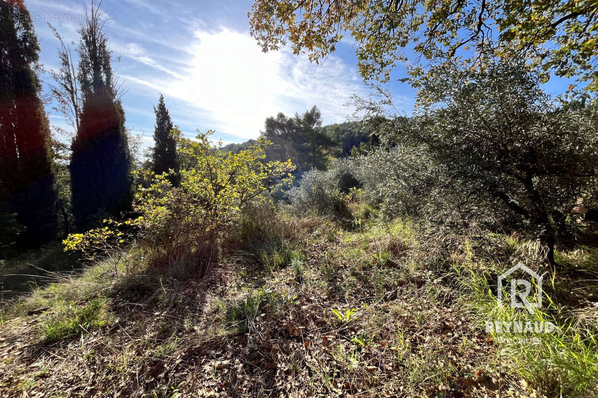Terrain à CLERMONT-L&#039;HERAULT