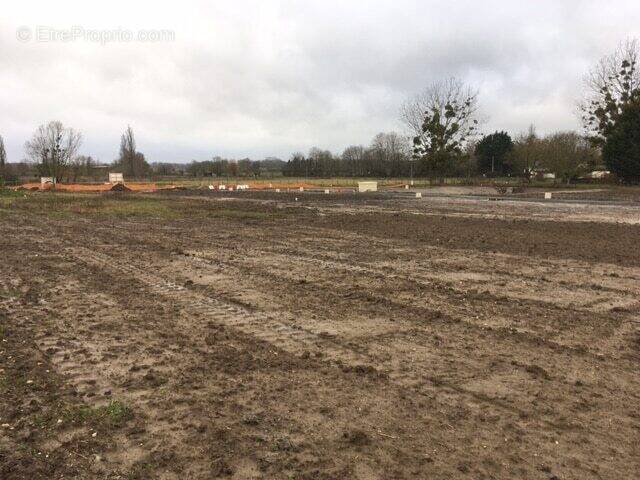 Terrain à BEAULIEU-SUR-LAYON