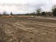 Terrain à BEAULIEU-SUR-LAYON