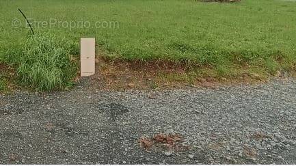 Terrain à SAINT-PERE-EN-RETZ