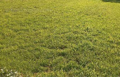 Terrain à SAINT-MICHEL-CHEF-CHEF