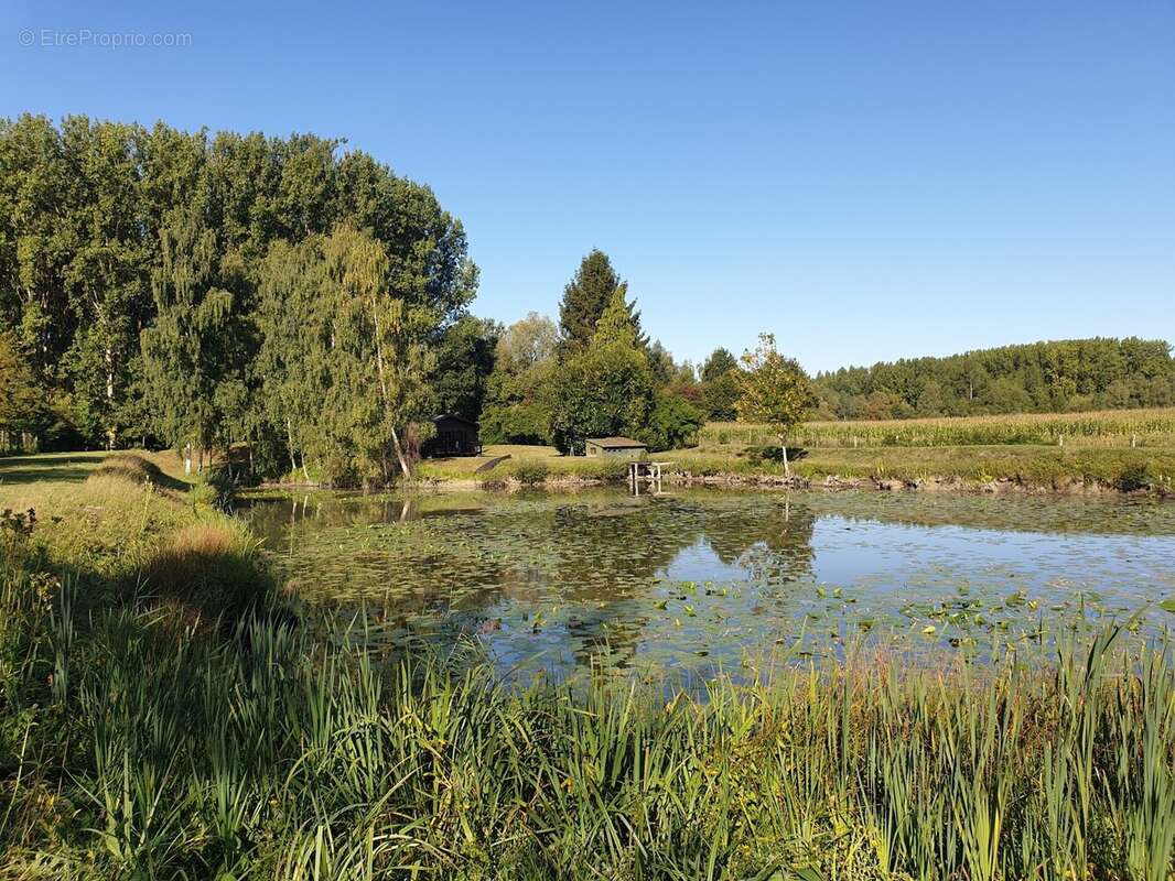 Terrain à WANDIGNIES-HAMAGE