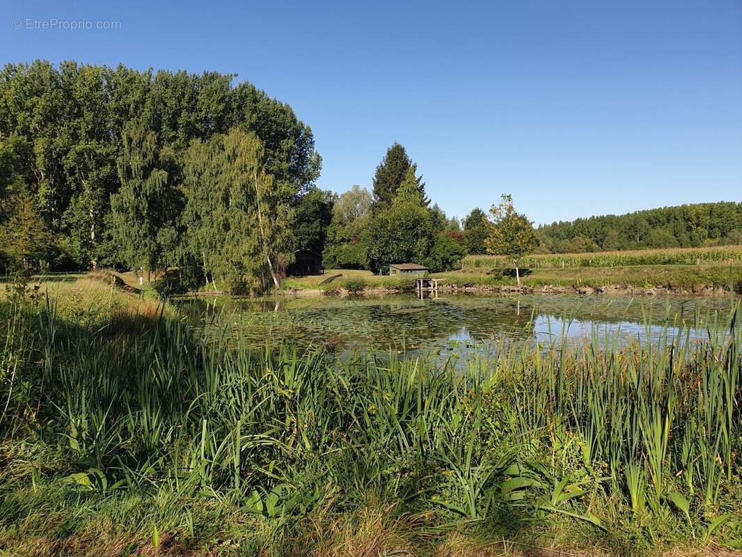 Terrain à WANDIGNIES-HAMAGE