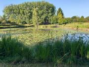 Terrain à WANDIGNIES-HAMAGE