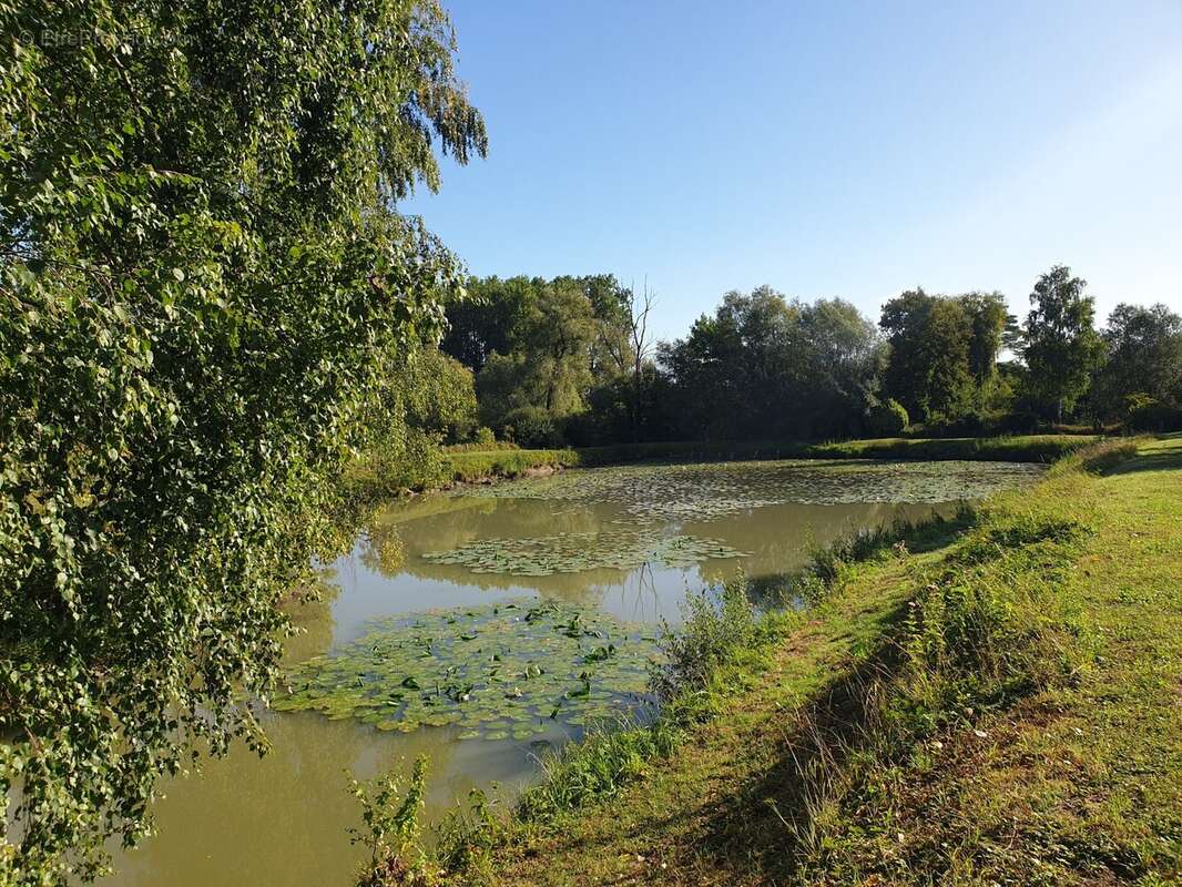Terrain à WANDIGNIES-HAMAGE