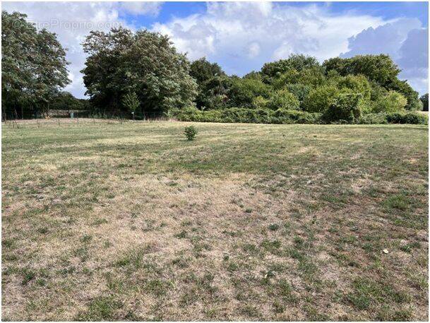 Terrain à SAINT-MARTIN-DU-CLOCHER