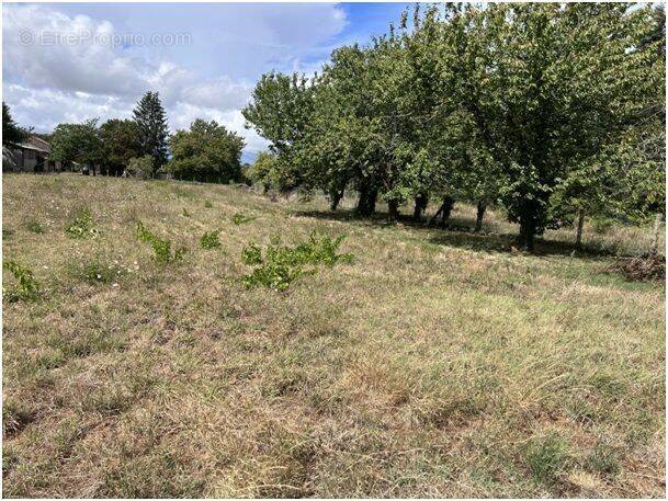 Terrain à SAINT-MARTIN-DU-CLOCHER