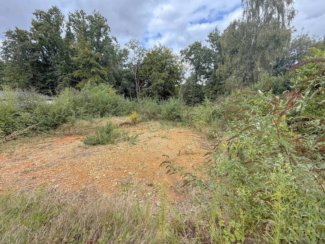 Terrain à MONT-SAINT-AIGNAN