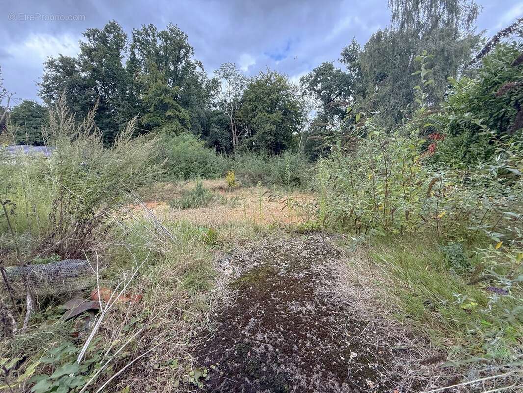 Terrain à MONT-SAINT-AIGNAN