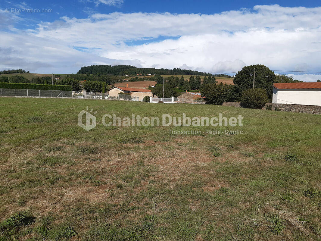 Terrain à MONTCHAL