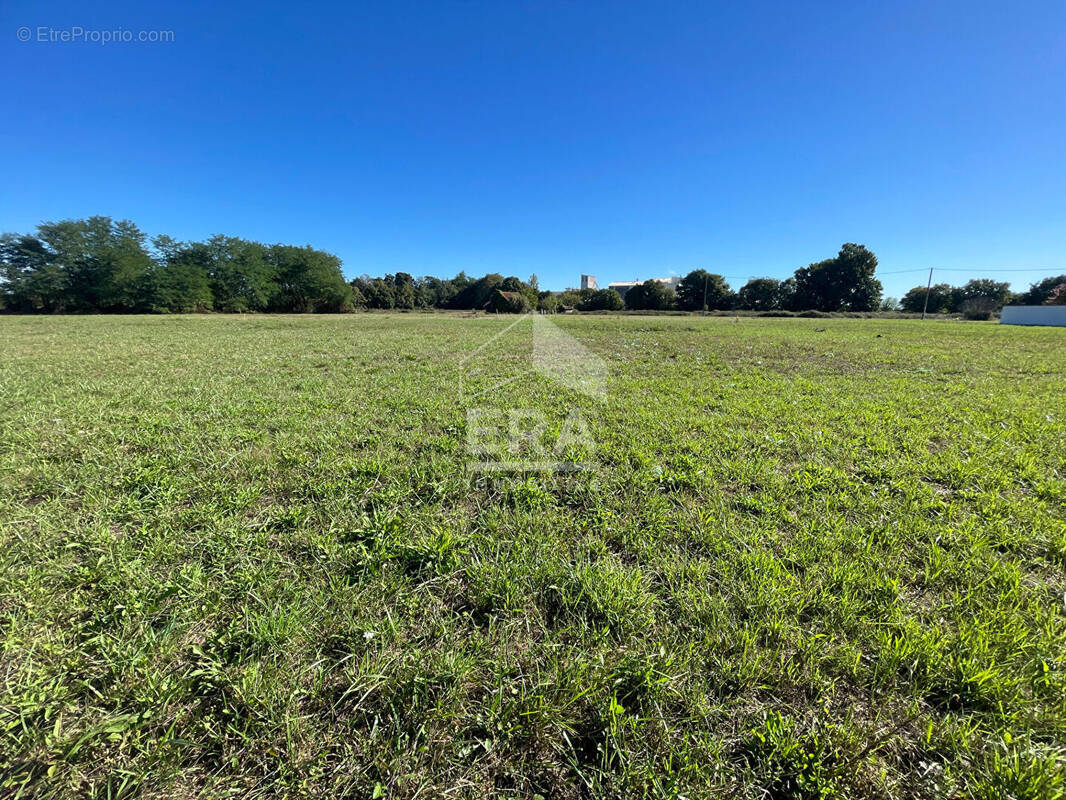 Terrain à VIC-EN-BIGORRE