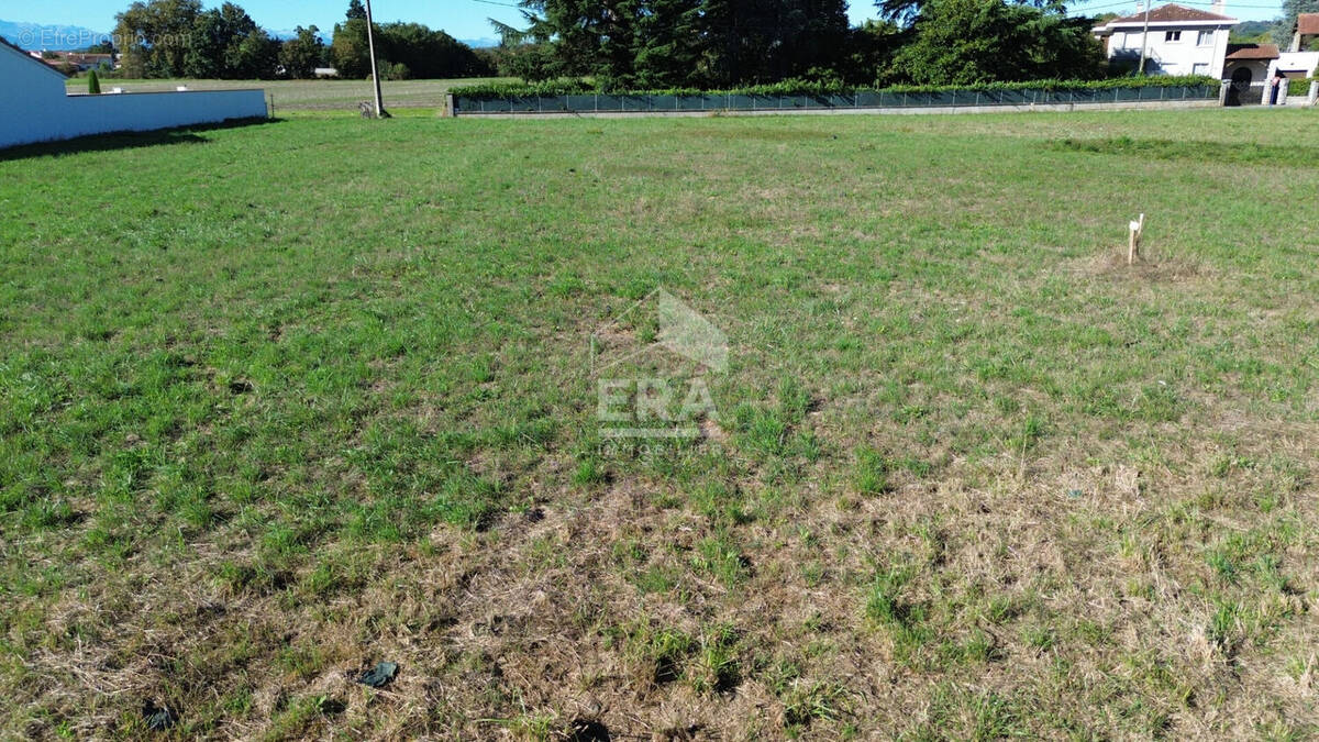 Terrain à VIC-EN-BIGORRE