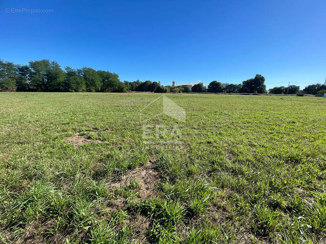 Terrain à VIC-EN-BIGORRE