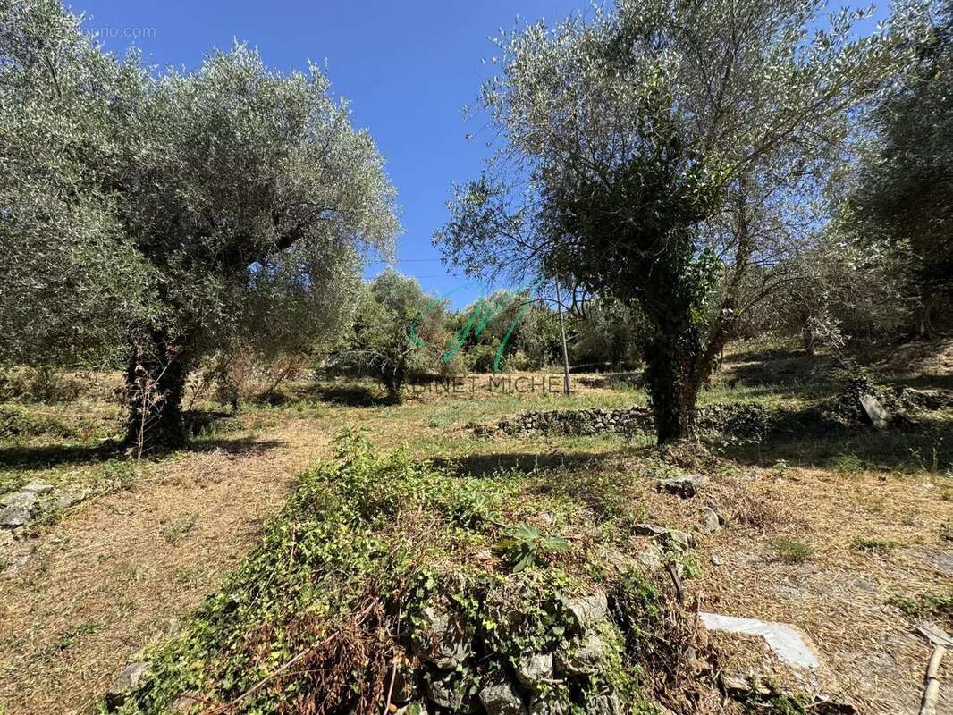 Terrain à MOUANS-SARTOUX