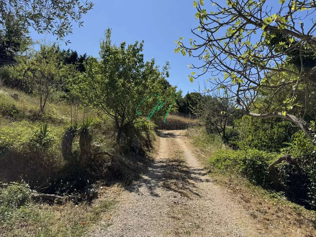 Terrain à MOUANS-SARTOUX