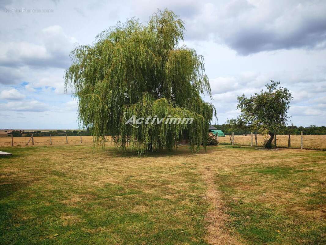 4272 3 - Maison à FLERS