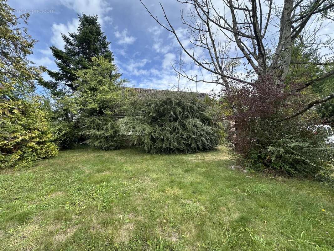 Maison à LE MESNIL-SAINT-DENIS