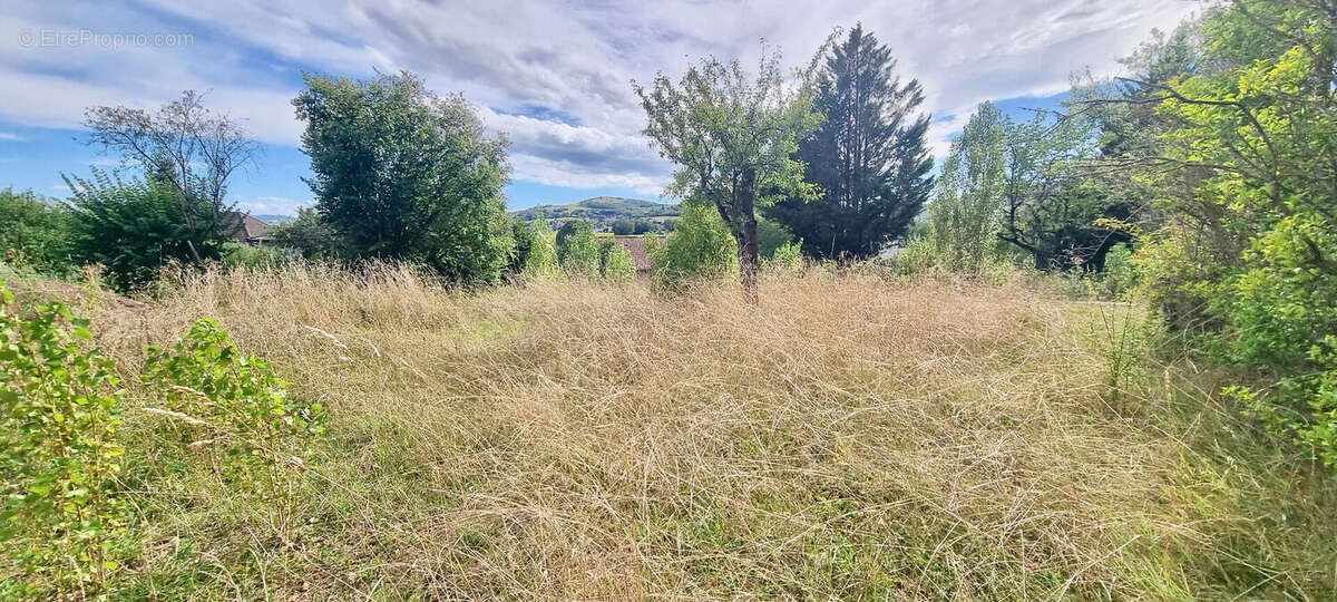 Terrain à VERTAIZON