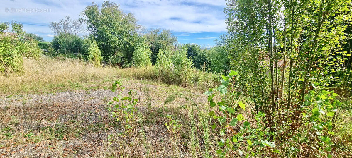 Terrain à VERTAIZON