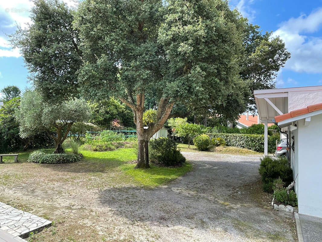 Maison à BENESSE-MAREMNE