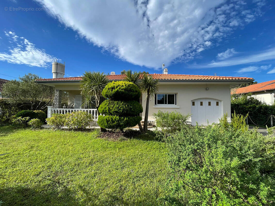 Maison à BENESSE-MAREMNE