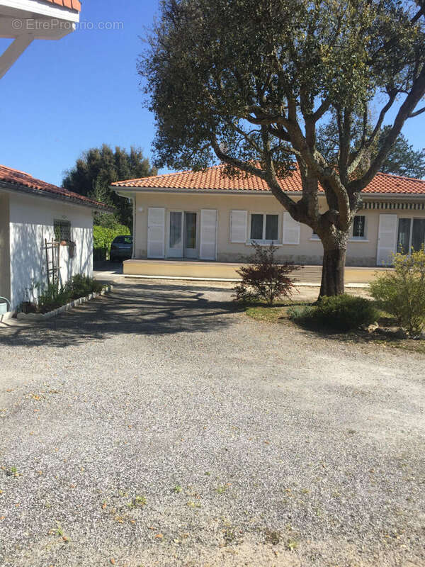 Maison à BENESSE-MAREMNE