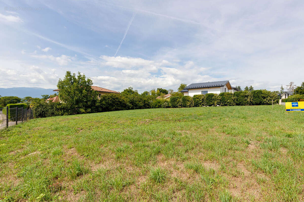 Terrain à MESSERY