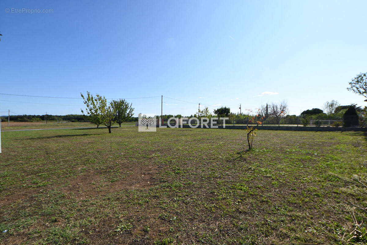 Terrain à LISLE-SUR-TARN