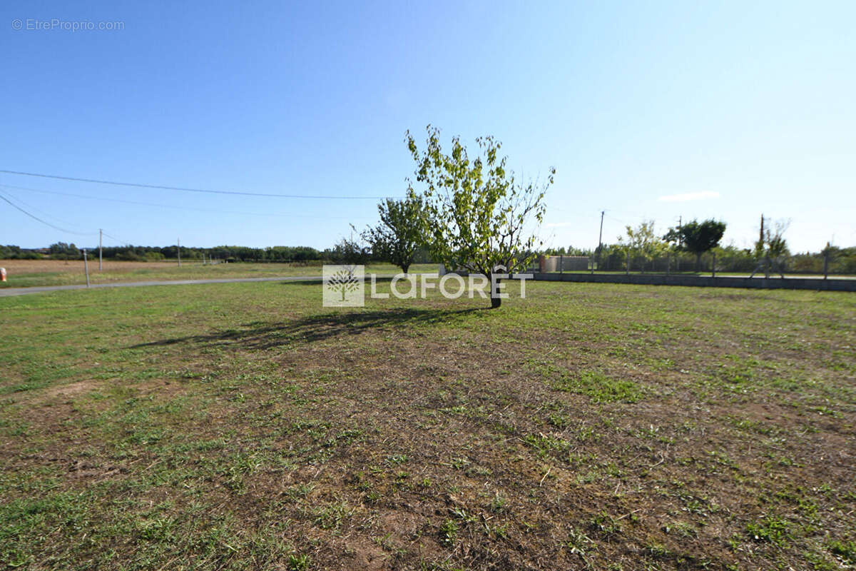 Terrain à LISLE-SUR-TARN