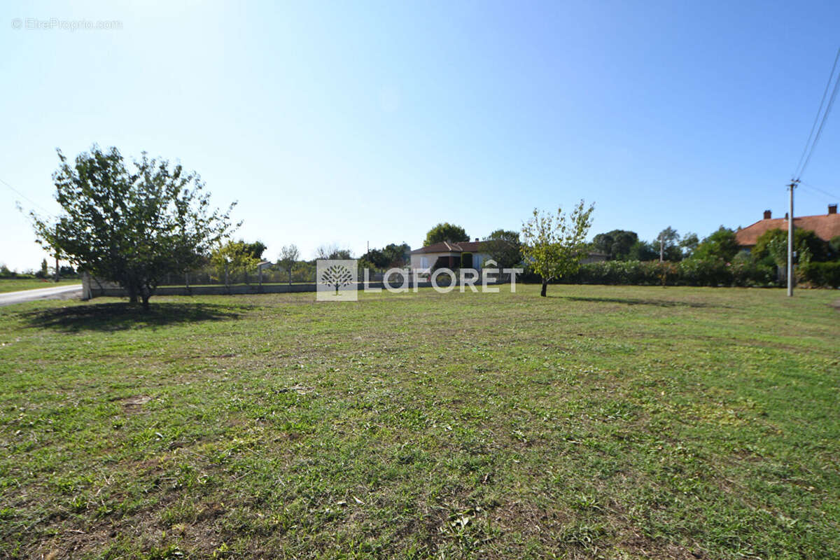 Terrain à LISLE-SUR-TARN