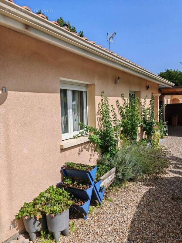 Photo 3 - Maison à EYRANS