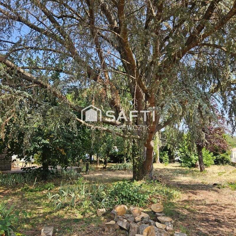 Photo 8 - Maison à SAINT-JEAN-DU-FALGA