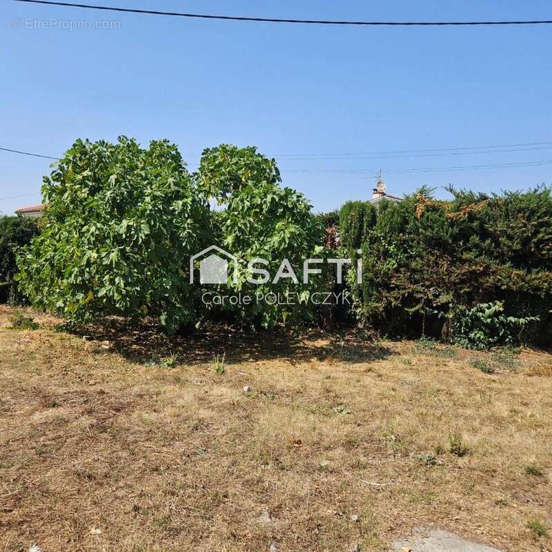 Photo 9 - Maison à SAINT-JEAN-DU-FALGA