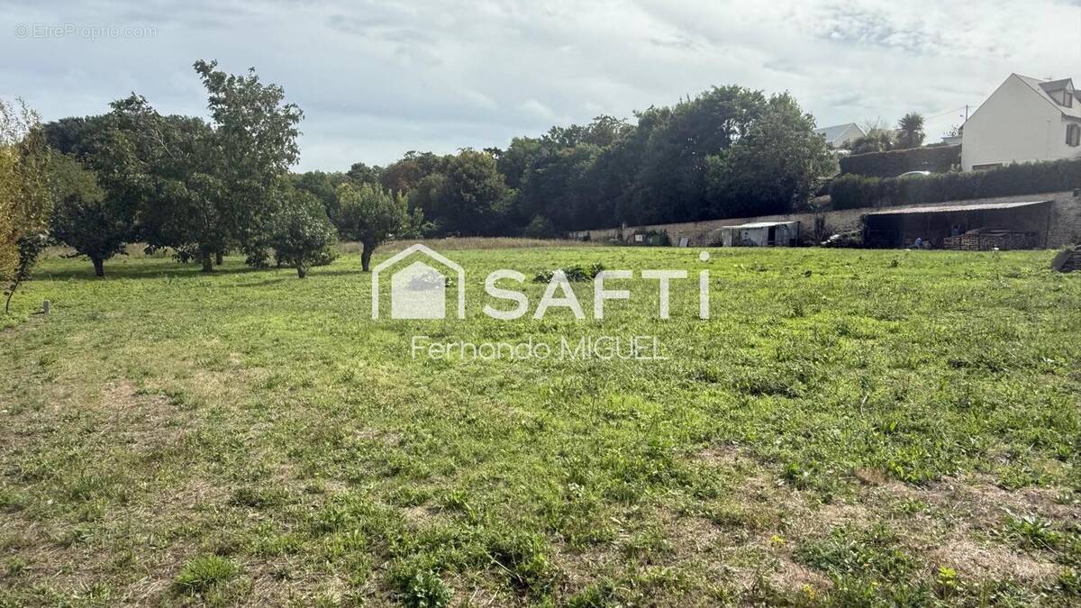 Photo 1 - Terrain à DADONVILLE