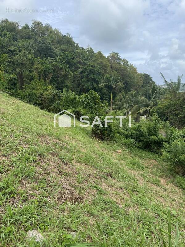 Photo 1 - Terrain à LA TRINITE