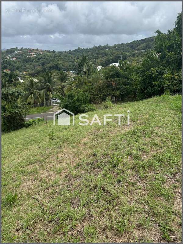 Photo 3 - Terrain à LA TRINITE