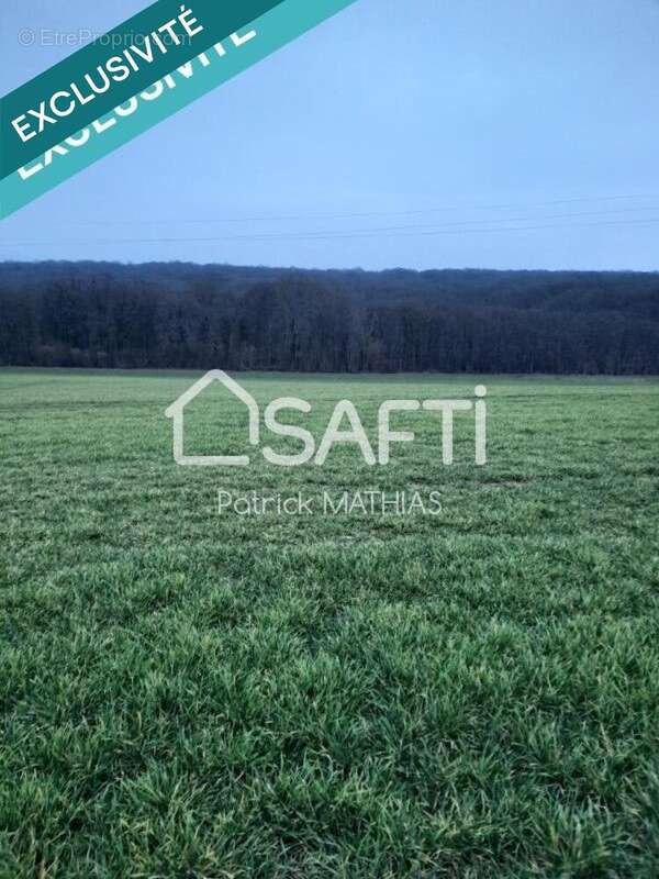 Photo 3 - Terrain à SAINT-AUBIN-SUR-YONNE