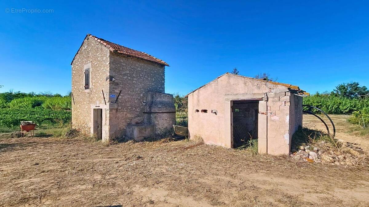 Photo 1 - Terrain à PUISSERGUIER