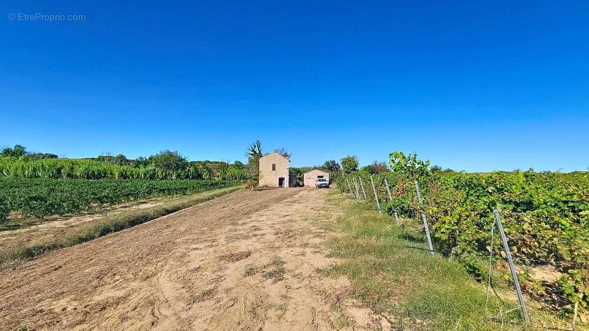 Photo 2 - Terrain à PUISSERGUIER