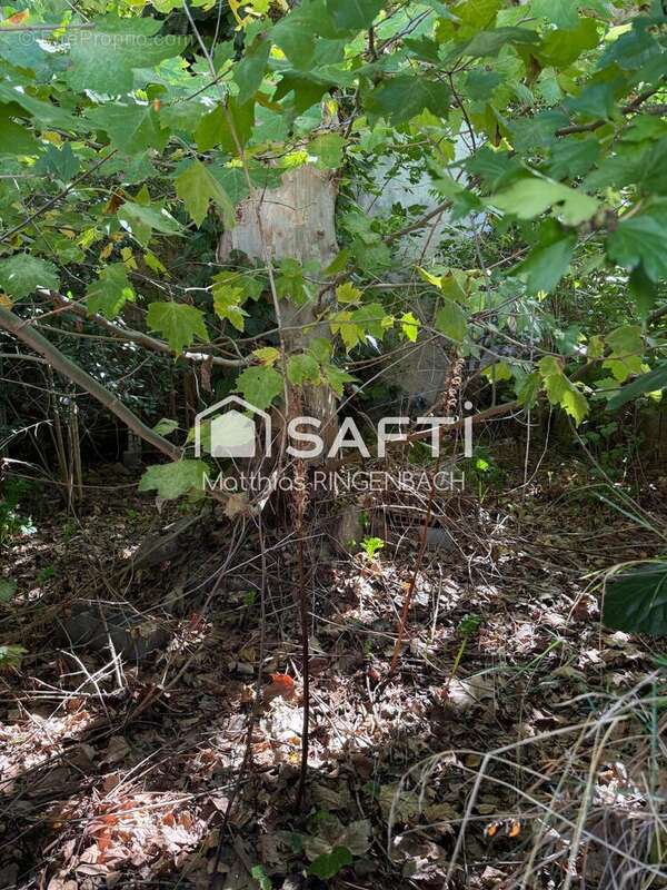 Photo 9 - Maison à JONQUIERES