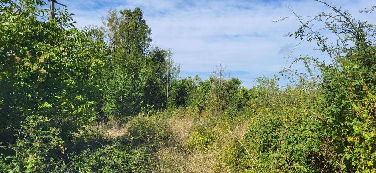 Photo 2 - Terrain à ANGLES-SUR-L&#039;ANGLIN