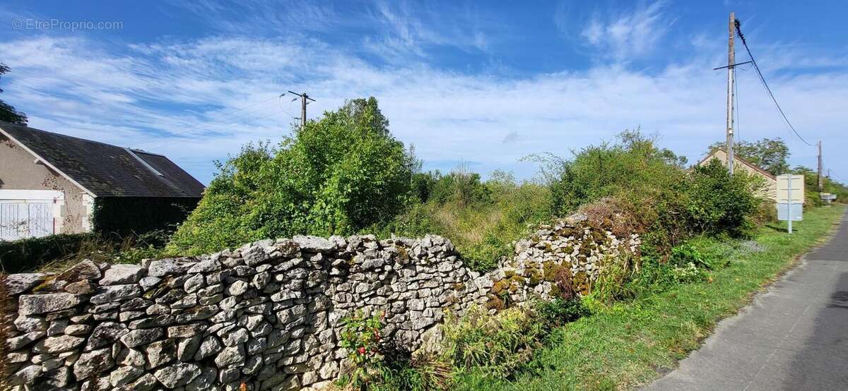 Photo 3 - Terrain à ANGLES-SUR-L&#039;ANGLIN